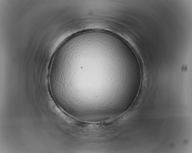 X0000113560799200910021553