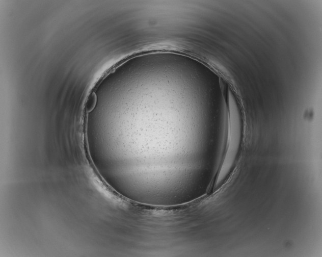 X0000113560800200910021553