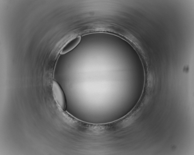 X0000113560801200910021553