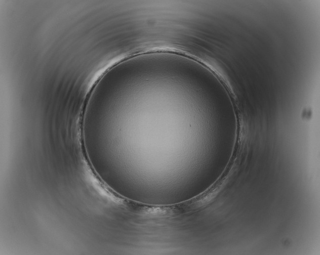 X0000113560806200910021553