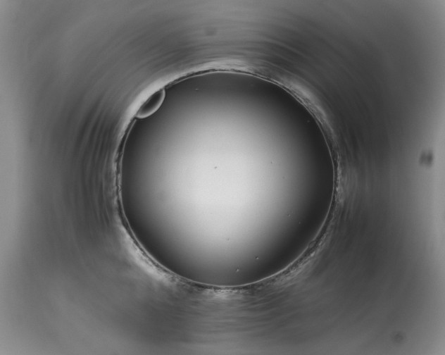 X0000113560808200910021553
