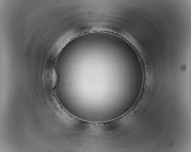 X0000113560809200910021553