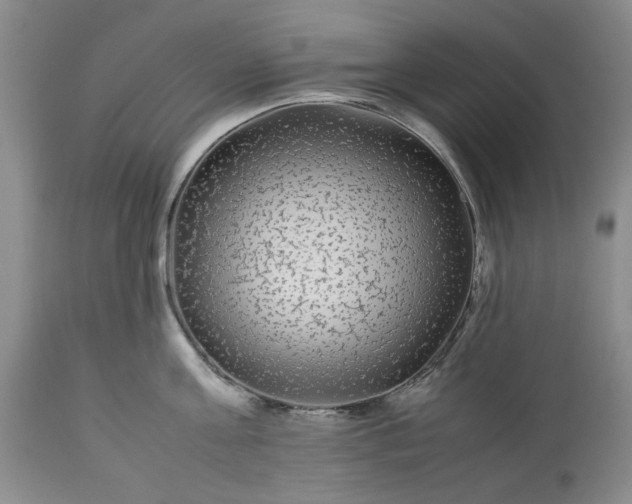 X0000113560811200910021553