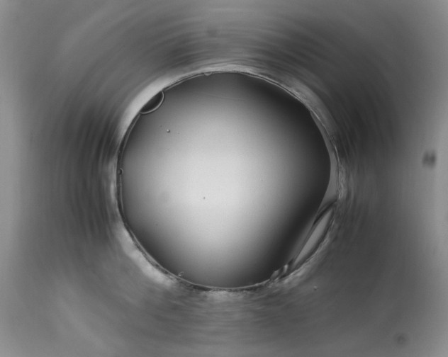 X0000113560812200910021553