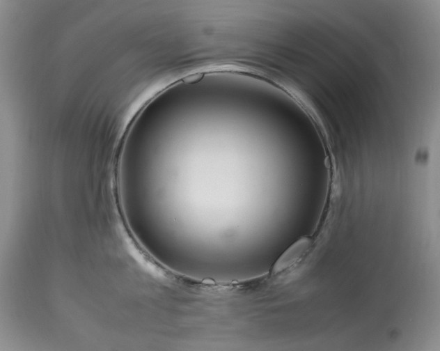 X0000113560813200910021553