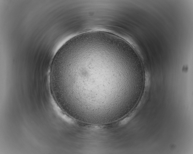 X0000113560814200910021553