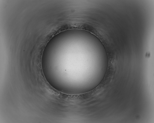 X0000113560817200910021552