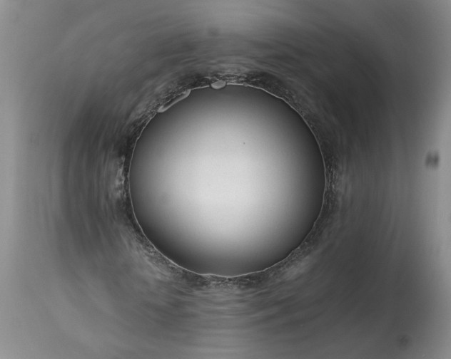 X0000113560818200910021552