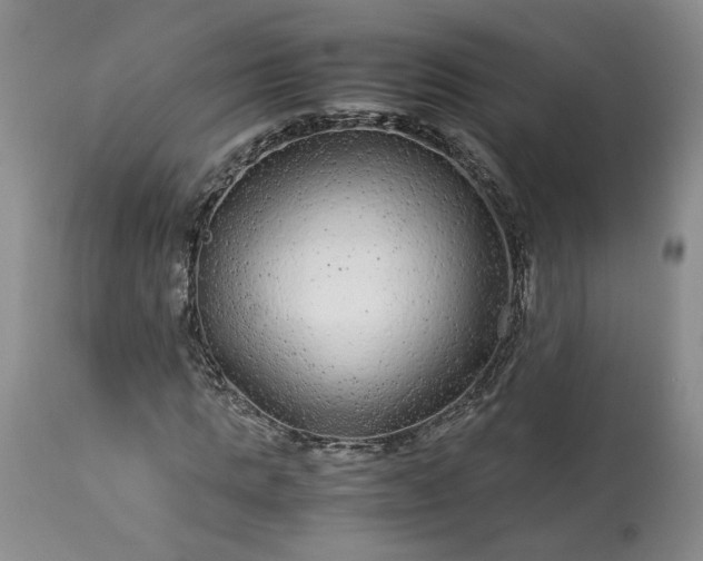 X0000113560821200910021552