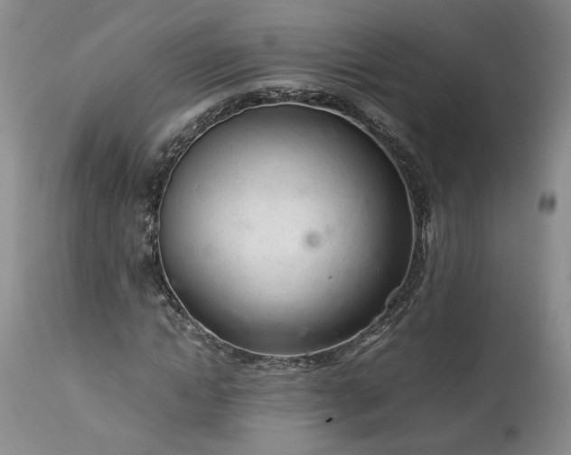 X0000113560822200910021553