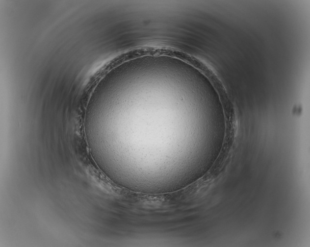 X0000113560823200910021553