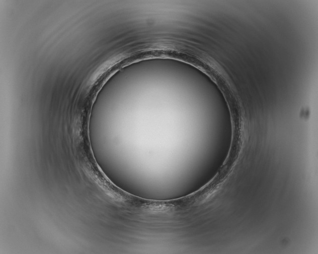X0000113560826200910021553
