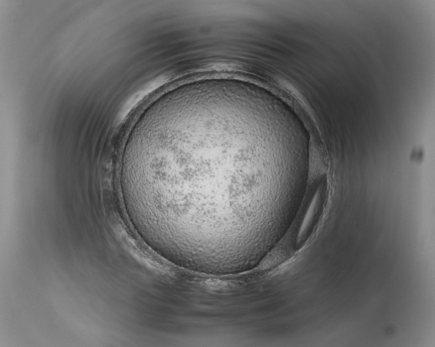 X0000113560827200910021553