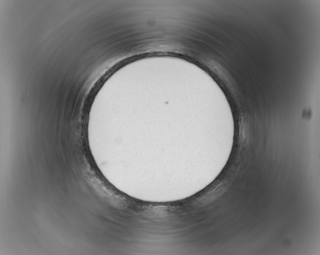 X0000113560828200910021553