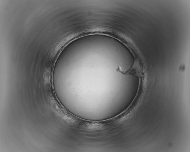 X0000113560833200910021553
