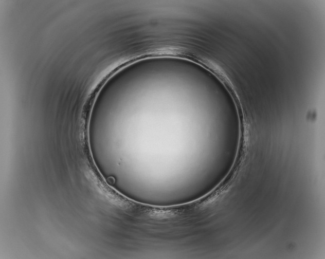 X0000113560835200910021553