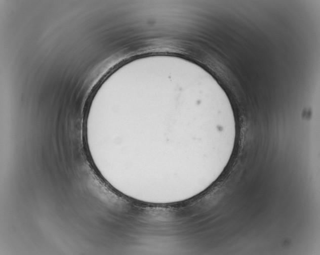 X0000113560836200910021553