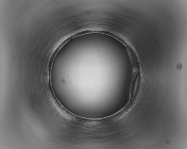 X0000113560837200910021553