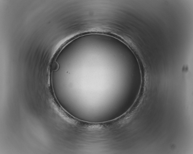 X0000113560838200910021553