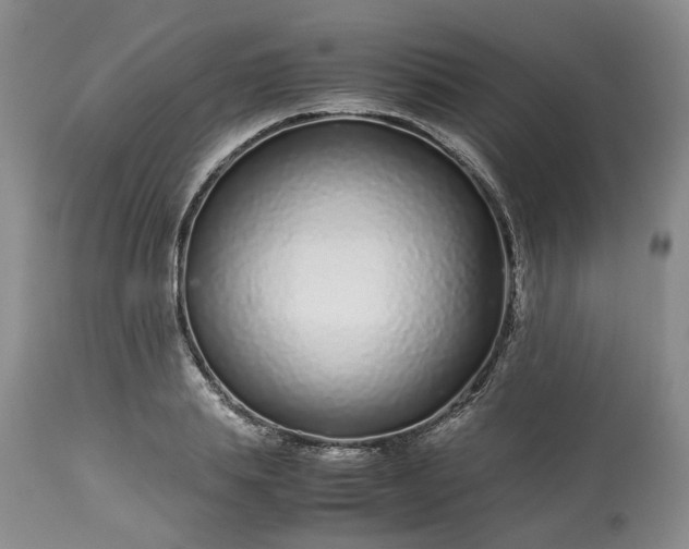 X0000113560839200910021553
