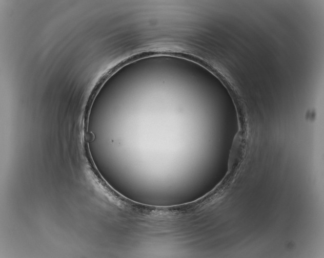 X0000113560840200910021553