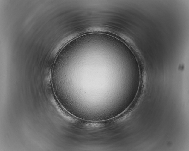 X0000113560841200910021553