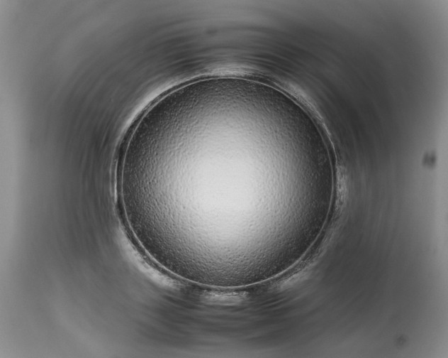 X0000113560843200910021553