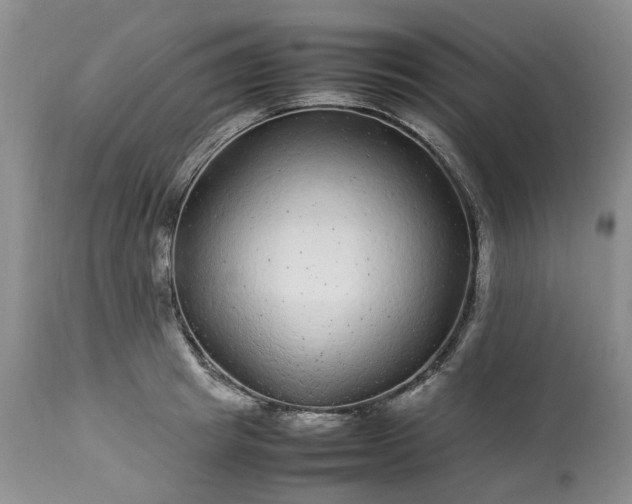 X0000113560849200910021553