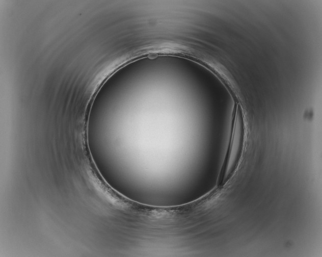 X0000113560850200910021553