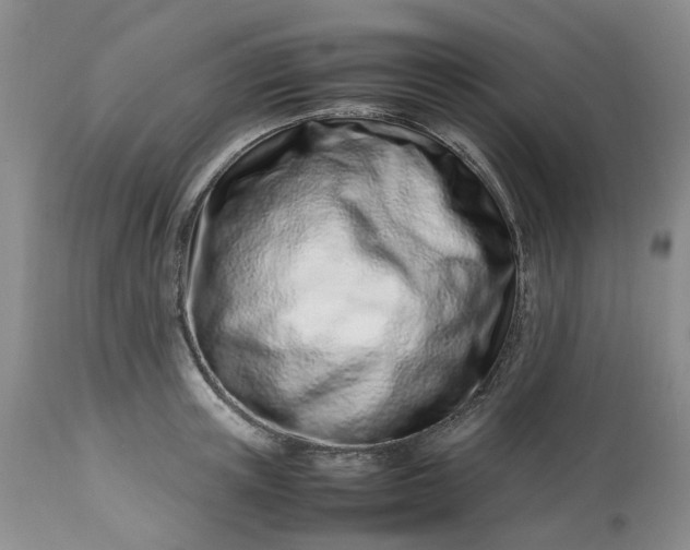 X0000113560851200910021553