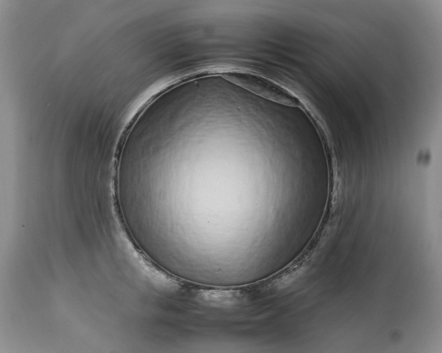 X0000113560853200910021553