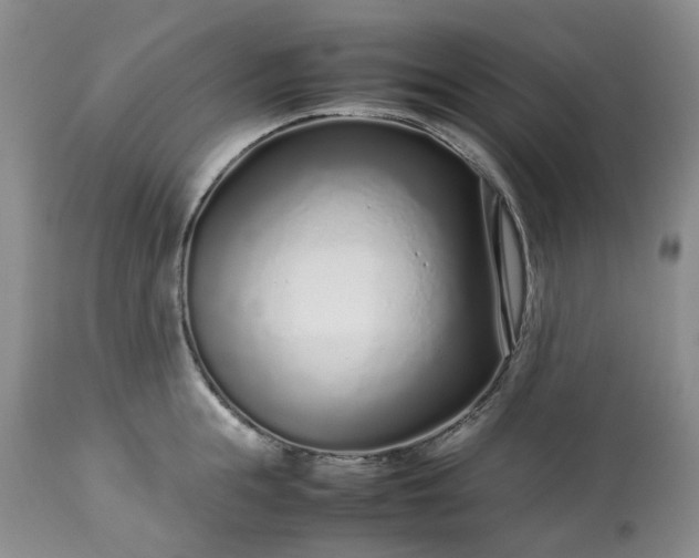 X0000113560855200910021553