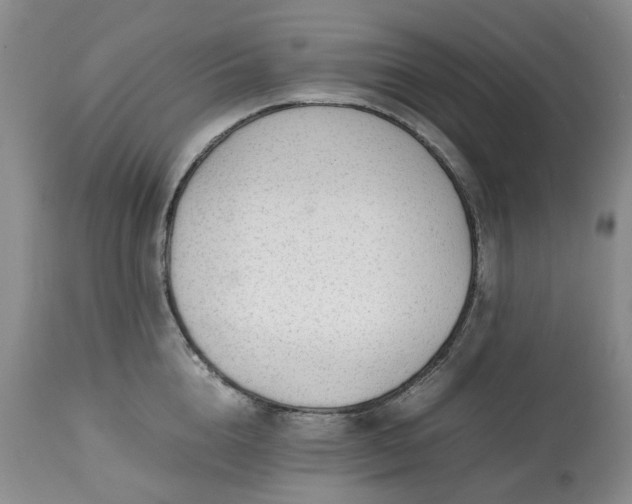 X0000113560856200910021553