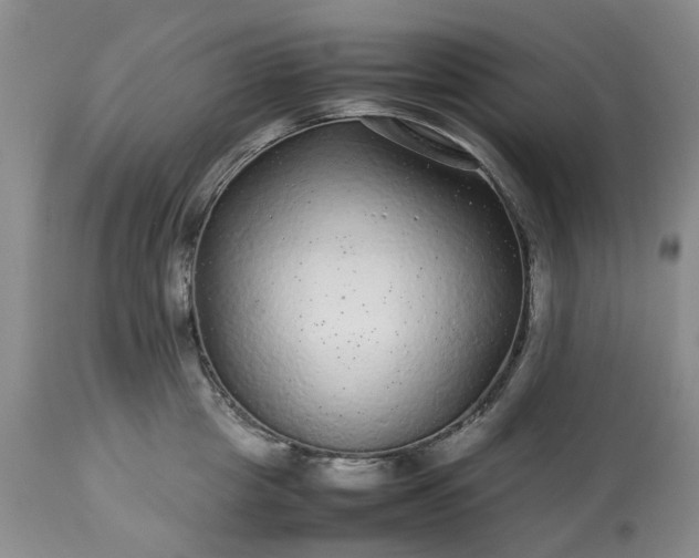 X0000113560857200910021553
