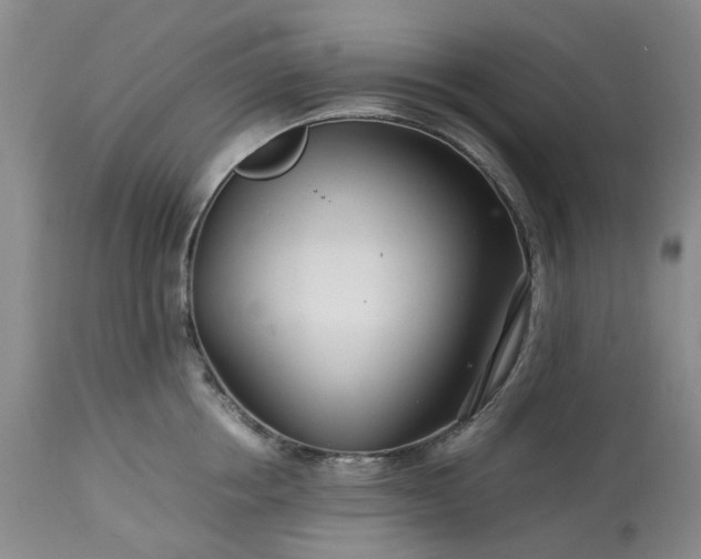 X0000113560858200910021553