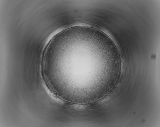 X0000113560861200910021553