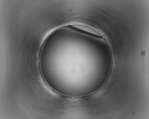 X0000113560862200910021553