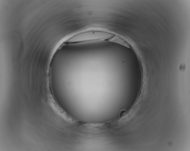 X0000113560864200910021553