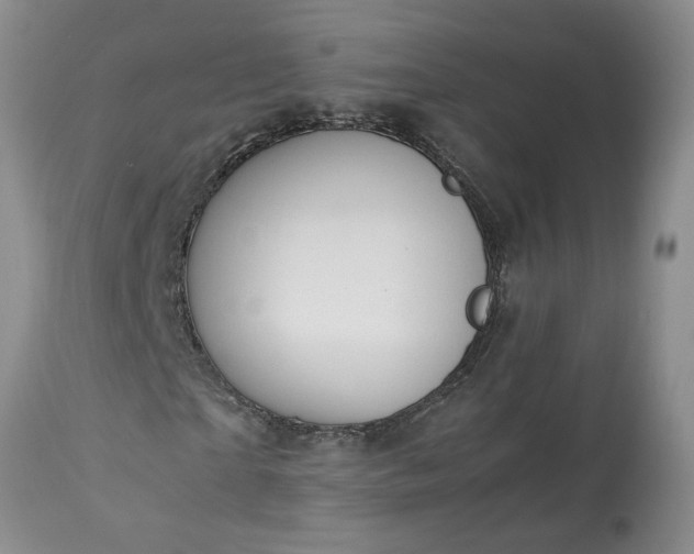 X0000113560865200910021552