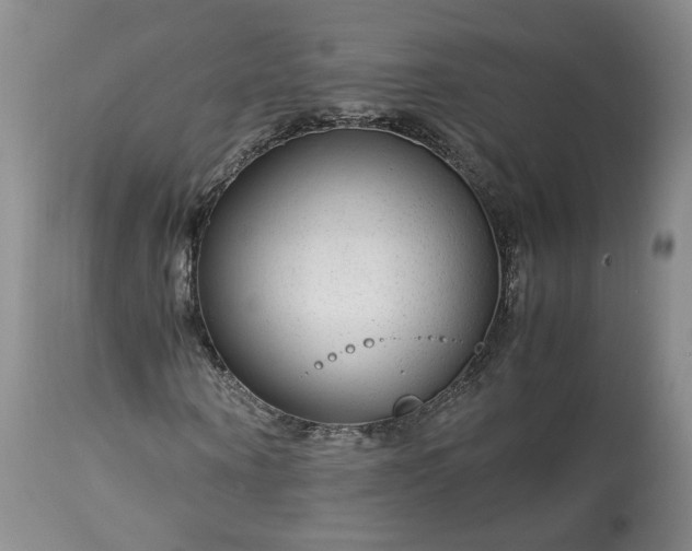X0000113560866200910021552