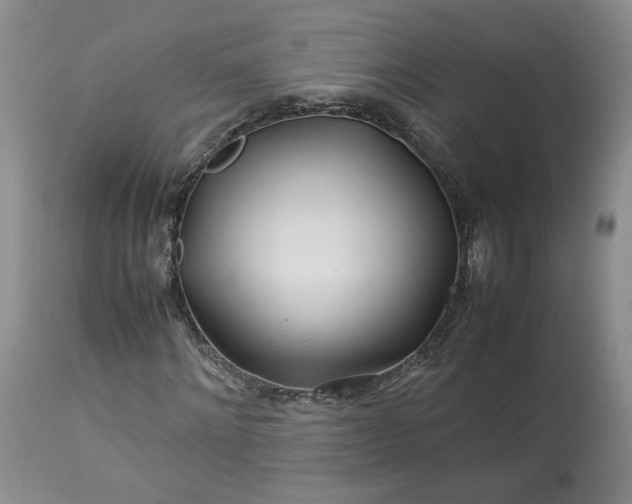 X0000113560868200910021552