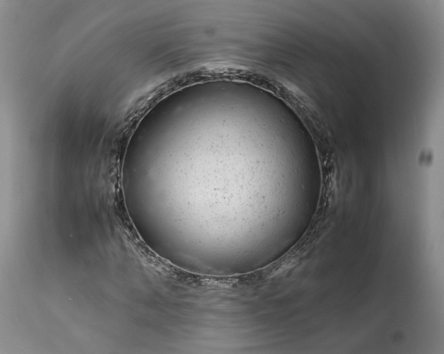 X0000113560870200910021552