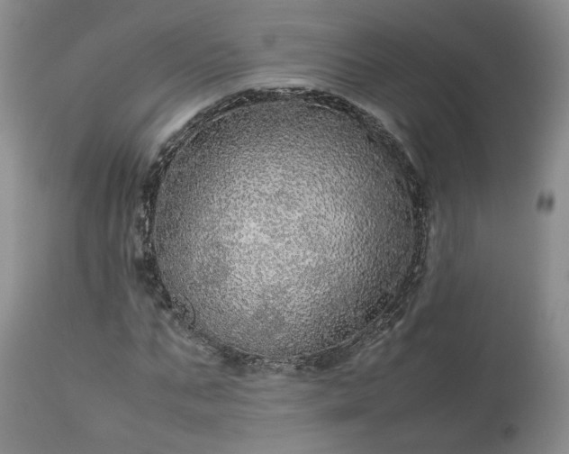 X0000113560871200910021552