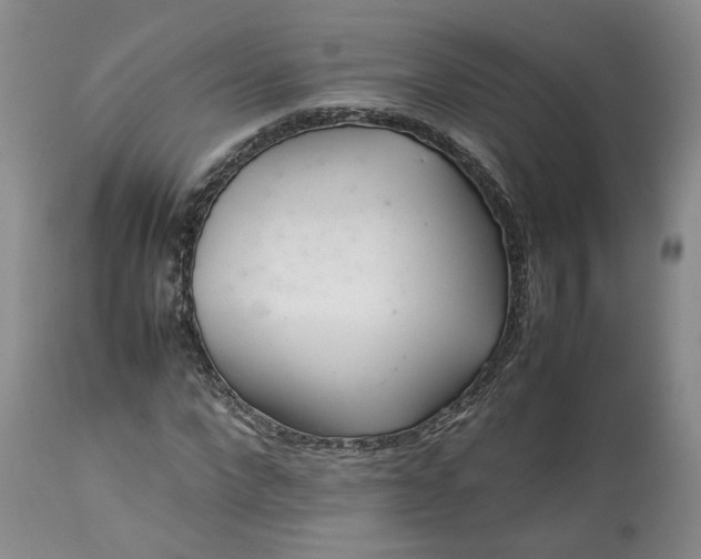 X0000113560872200910021552