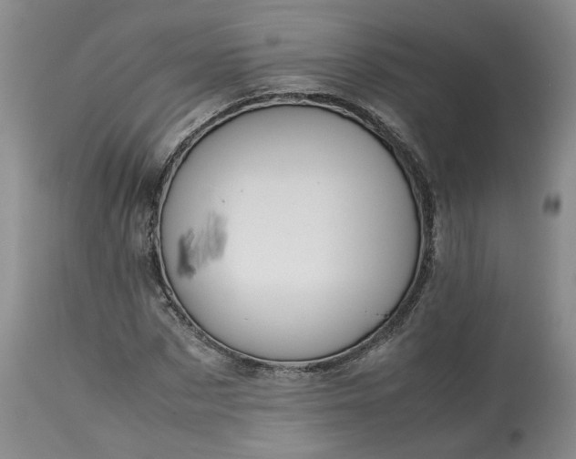 X0000113560873200910021552