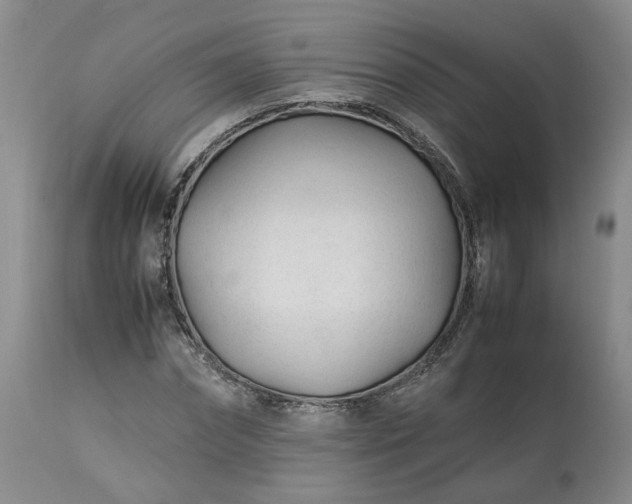 X0000113560874200910021552