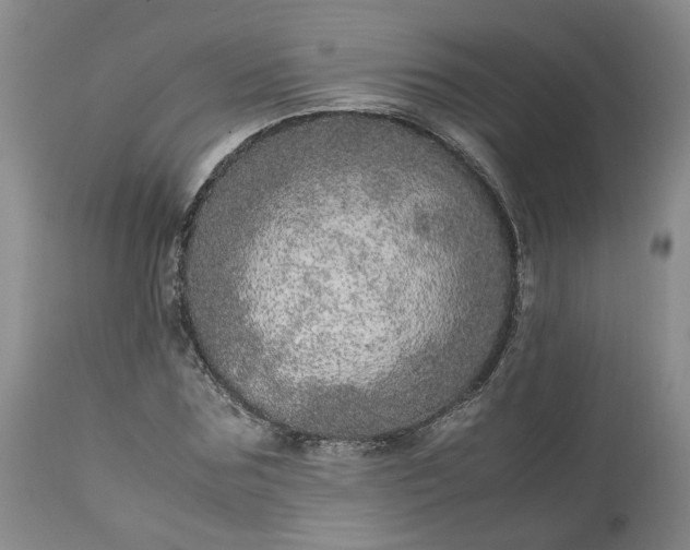 X0000113560875200910021552
