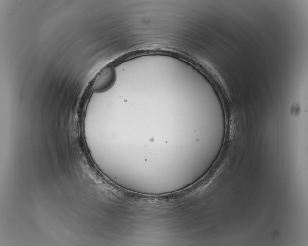 X0000113560876200910021552