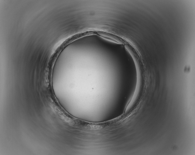 X0000113560878200910021552