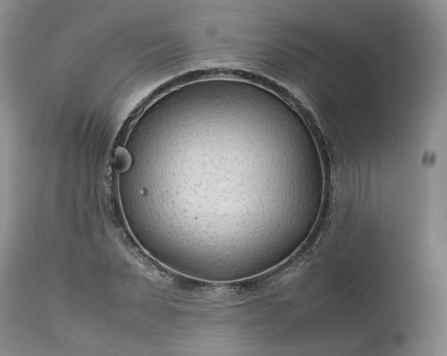 X0000113560879200910021552